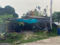 https://chumphon.ohoproperty.com/219939/ธนาคารอาคารสงเคราะห์/ขายบ้านเดี่ยว/วังไผ่/เมืองชุมพร/ชุมพร/